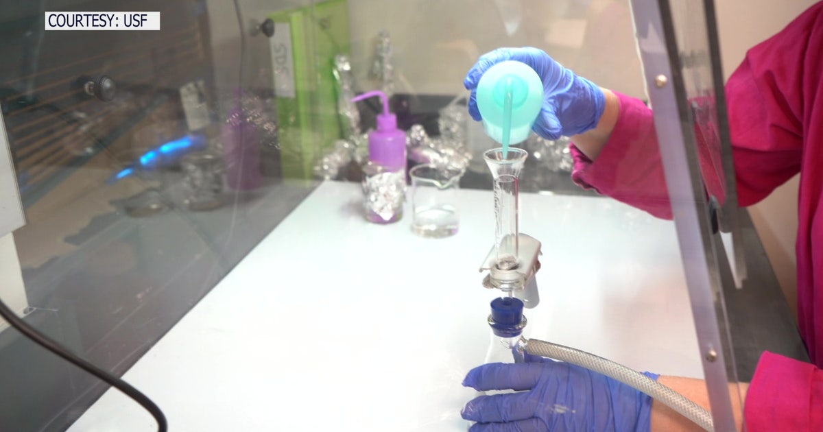USF grad students study microplastics in mangroves