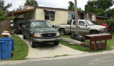 Tree service crew rescues man pinned under truck in Brandon
