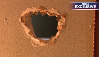 'Like a horror film': Florida man accused of using hammer, electric trimmer to break through shared wall