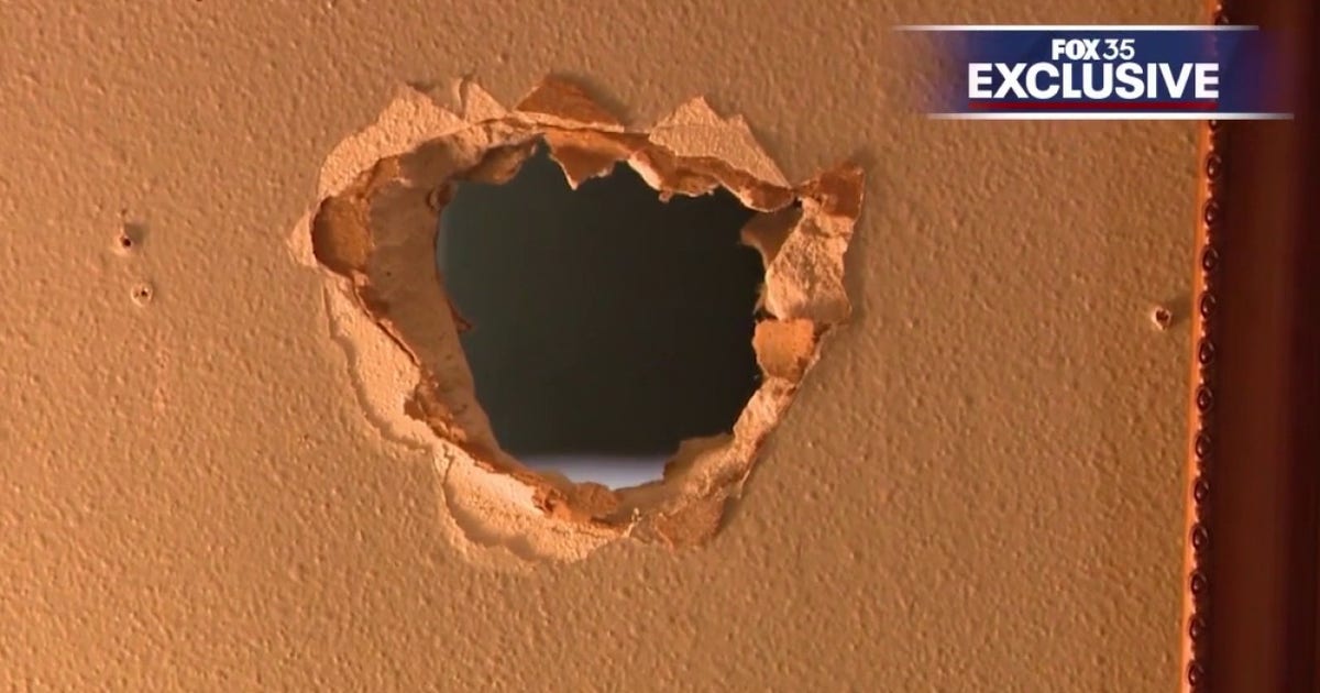 'Like a horror film': Florida man accused of using hammer, electric trimmer to break through shared wall