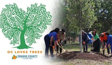Orange County begins work on first Urban Forest Master Plan