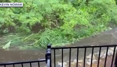 Oviedo residents raise flooding concerns after creek overflows during routine rain