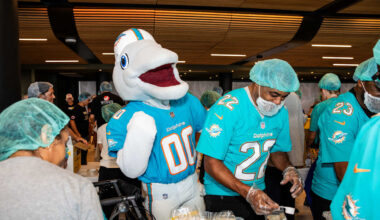Miami Dolphins logo
