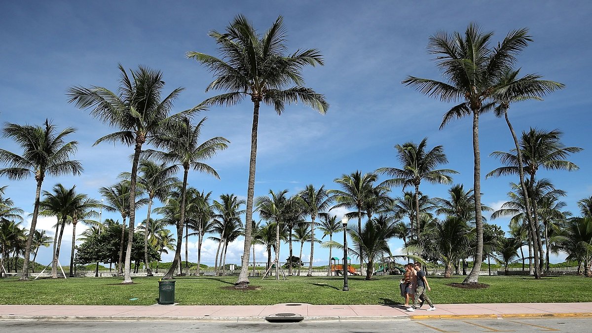 Man accused of indecent exposure in Miami Beach’s Lummus Park – NBC 6 South Florida