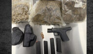 Convicted felon arrested after gun and drugs found inside Hollywood home – NBC 6 South Florida