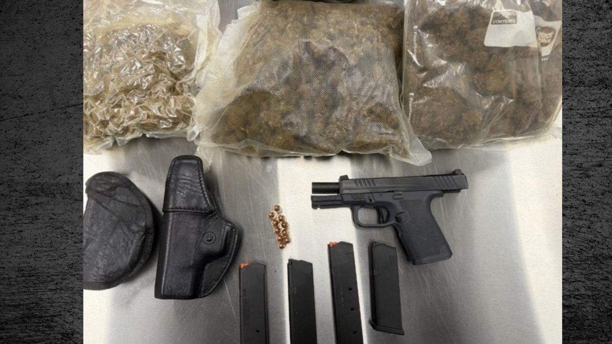 Convicted felon arrested after gun and drugs found inside Hollywood home – NBC 6 South Florida