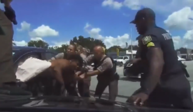 Dash camera footage captures the arrest of an alleged carjacker who led police on wild pursuit across NW Miami-Dade, Hialeah - WSVN 7News | Miami News, Weather, Sports
