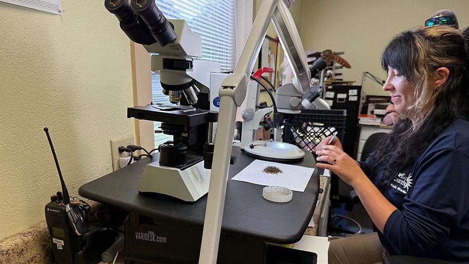Pinellas urges residents to do their part as dengue grows