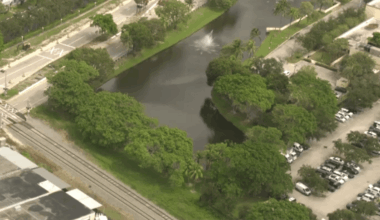 Deputies investigating after over a dozen ducks found dead at Pompano Beach pond – NBC 6 South Florida