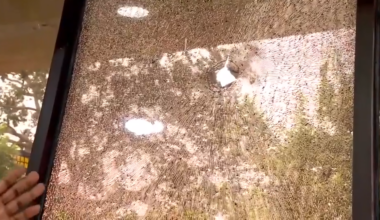 Young girl OK after being grazed in head by bullet in Pompano Beach shooting, bullet holes left nearby - WSVN 7News | Miami News, Weather, Sports