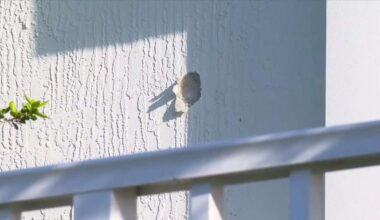 Young girl OK after being grazed in head by bullet in Pompano Beach townhome - WSVN 7News | Miami News, Weather, Sports