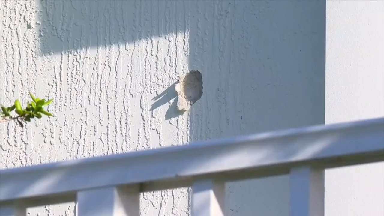 Young girl OK after being grazed in head by bullet in Pompano Beach townhome - WSVN 7News | Miami News, Weather, Sports