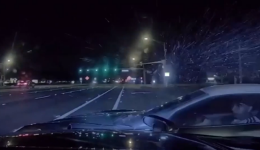Corvette driver, 19, arrested after high-speed pursuit near Tampa ends with PIT maneuver - WSVN 7News | Miami News, Weather, Sports