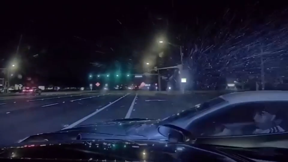 Corvette driver, 19, arrested after high-speed pursuit near Tampa ends with PIT maneuver - WSVN 7News | Miami News, Weather, Sports