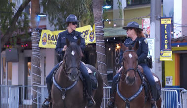 Fort Lauderdale cracking down on crime and underage drinking in Himmarshee district – NBC 6 South Florida