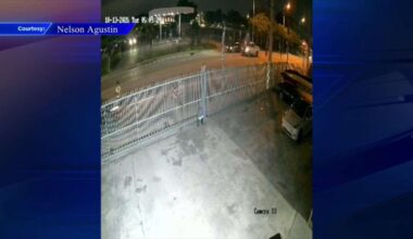 Man hospitalized after hit-and-run in Miami; subject on the loose - WSVN 7News | Miami News, Weather, Sports