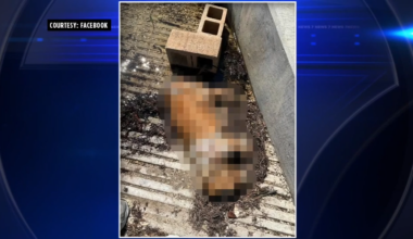 Video showing dead dog tied to cinder blocks, dumped near Coconut Grove boat ramp sparks outrage; boater who found dog speaks out - WSVN 7News | Miami News, Weather, Sports