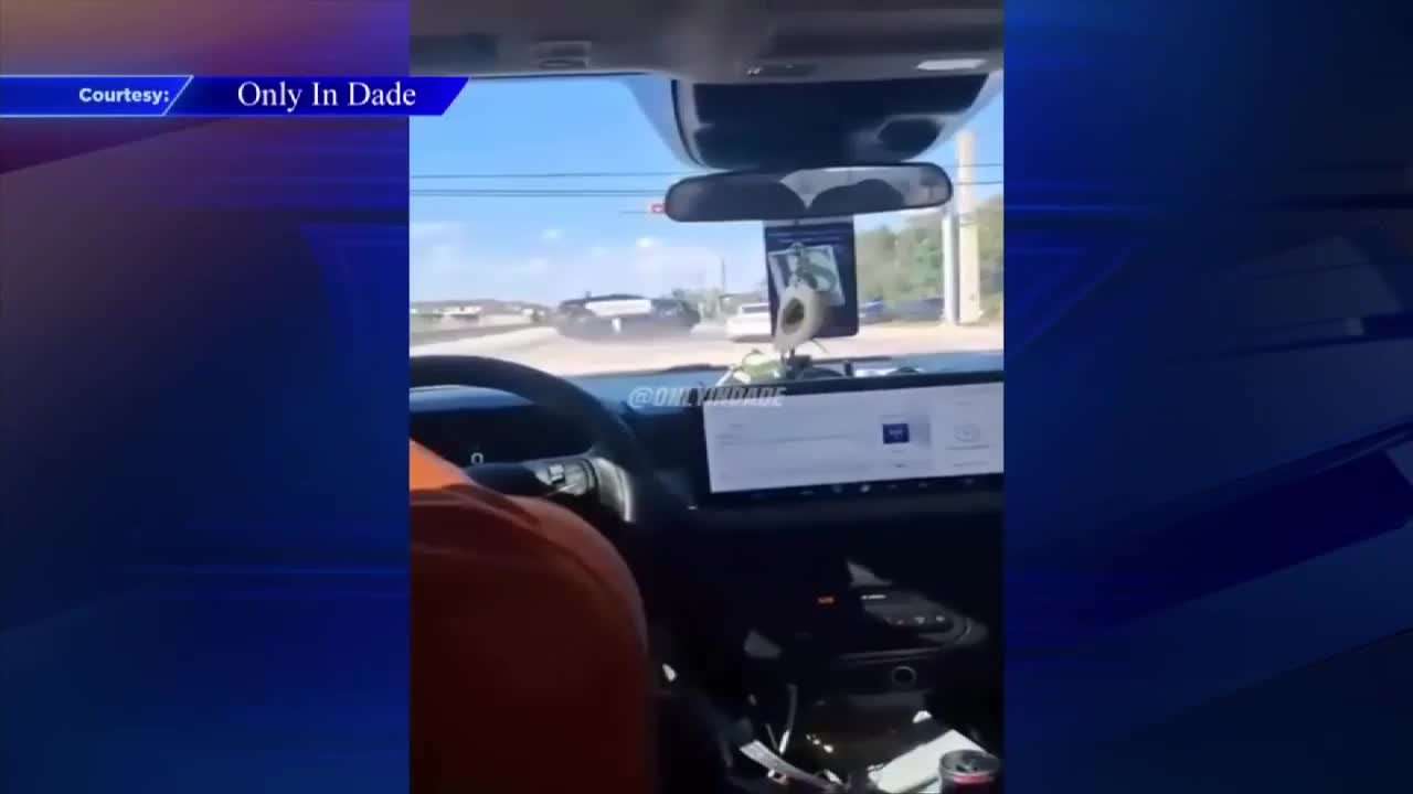 Video shows driver crashing into Florida City Police cruiser in intersection - WSVN 7News | Miami News, Weather, Sports