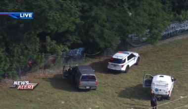 Investigation underway after apparent human remains found in wooded area in Miami - WSVN 7News | Miami News, Weather, Sports