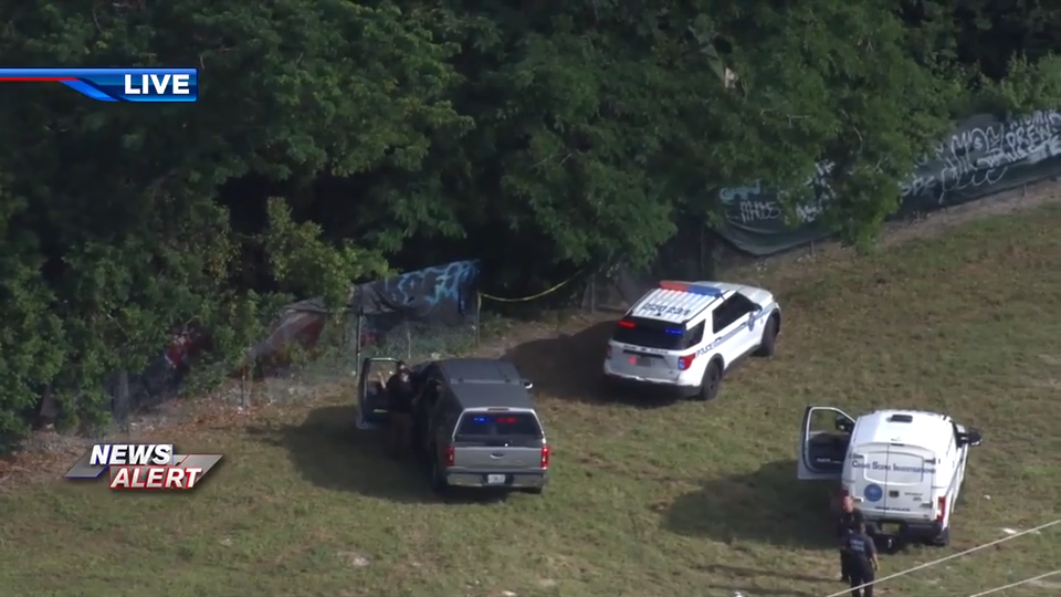Investigation underway after apparent human remains found in wooded area in Miami - WSVN 7News | Miami News, Weather, Sports