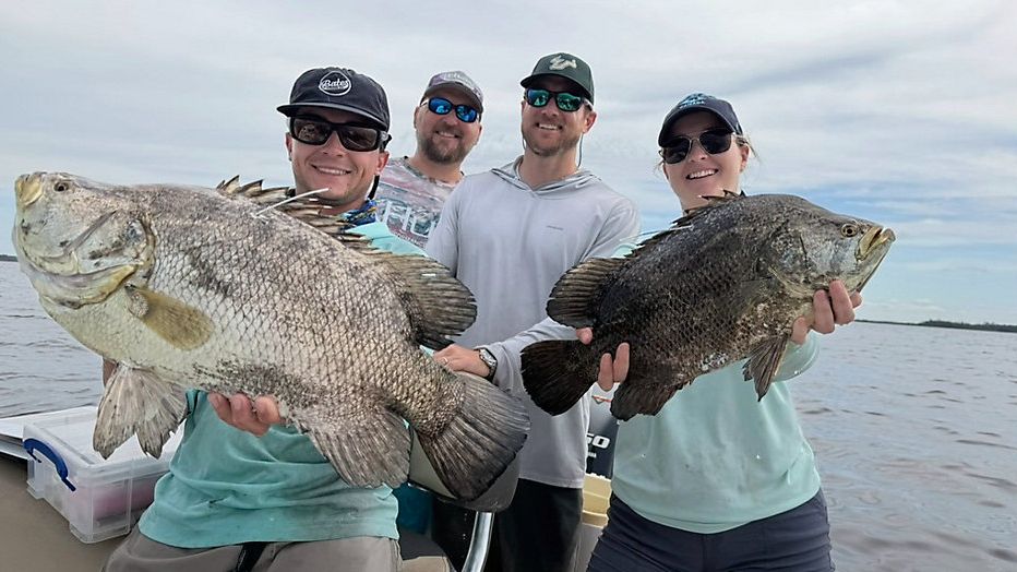 Tampa researchers use fish tagging to fill data gaps