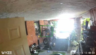 Investigators search for man caught on camera stealing an e-bike from a Fort Lauderdale home - WSVN 7News | Miami News, Weather, Sports