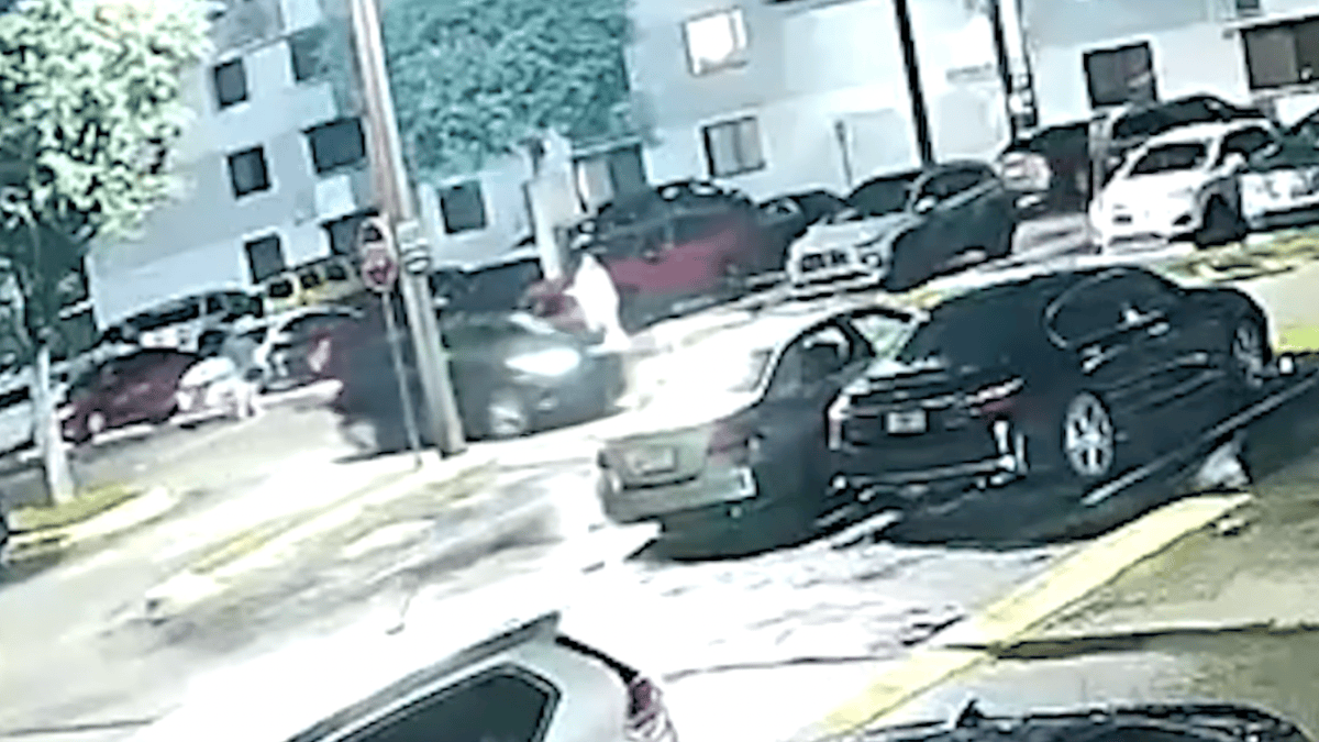 Couple watched thieves steal SUV right in front of them, surveillance shows – NBC 6 South Florida