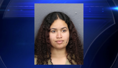 Dania Beach woman charged in fatal hit-and-run involving pedestrian death - WSVN 7News | Miami News, Weather, Sports