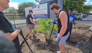 Miami Dolphins help beautify school in Miami Gardens as part of month-long initiative - WSVN 7News | Miami News, Weather, Sports