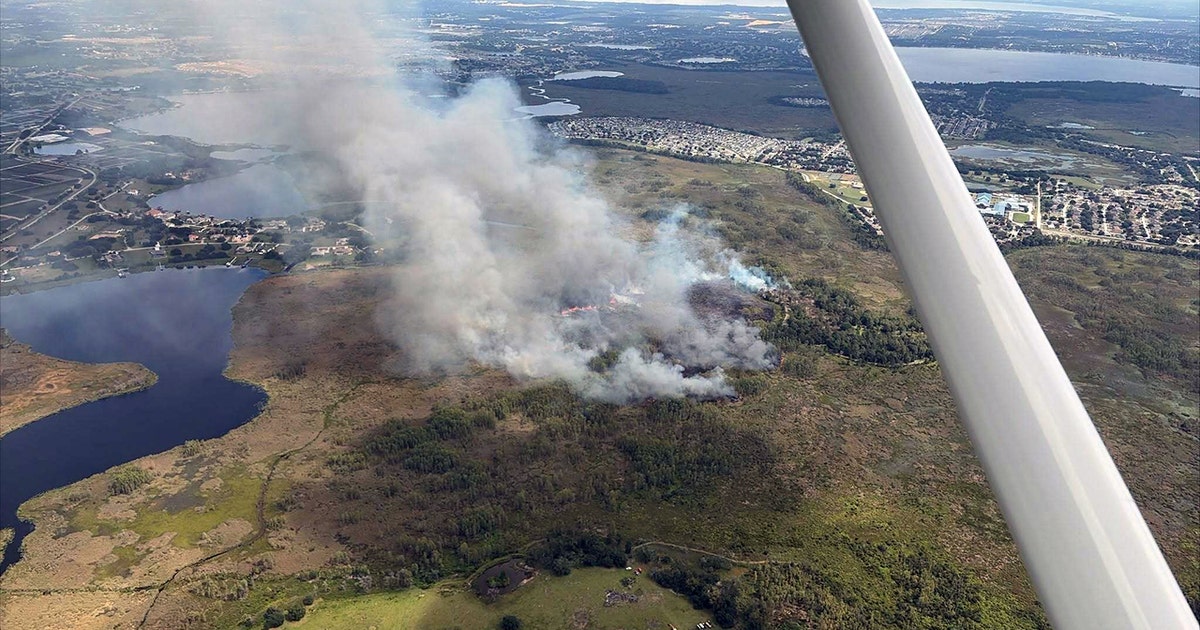 Marsh wildfire grows to 250 acres near Groveland