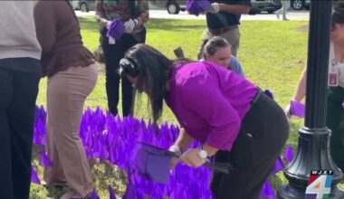 Hubbard House, Jacksonville leaders highlight scope of domestic violence during awareness month