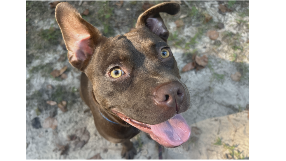 Fran’s personality far exceeds her size!