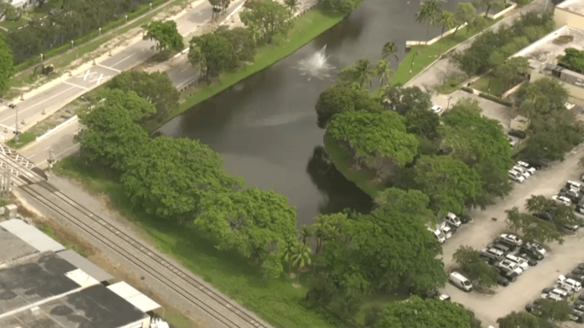 Deputies investigating after over a dozen ducks found dead at Pompano Beach pond – NBC 6 South Florida