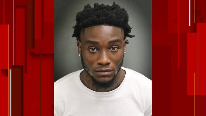 Doordash driver caught pointing gun at Disney bus in Florida, deputies say