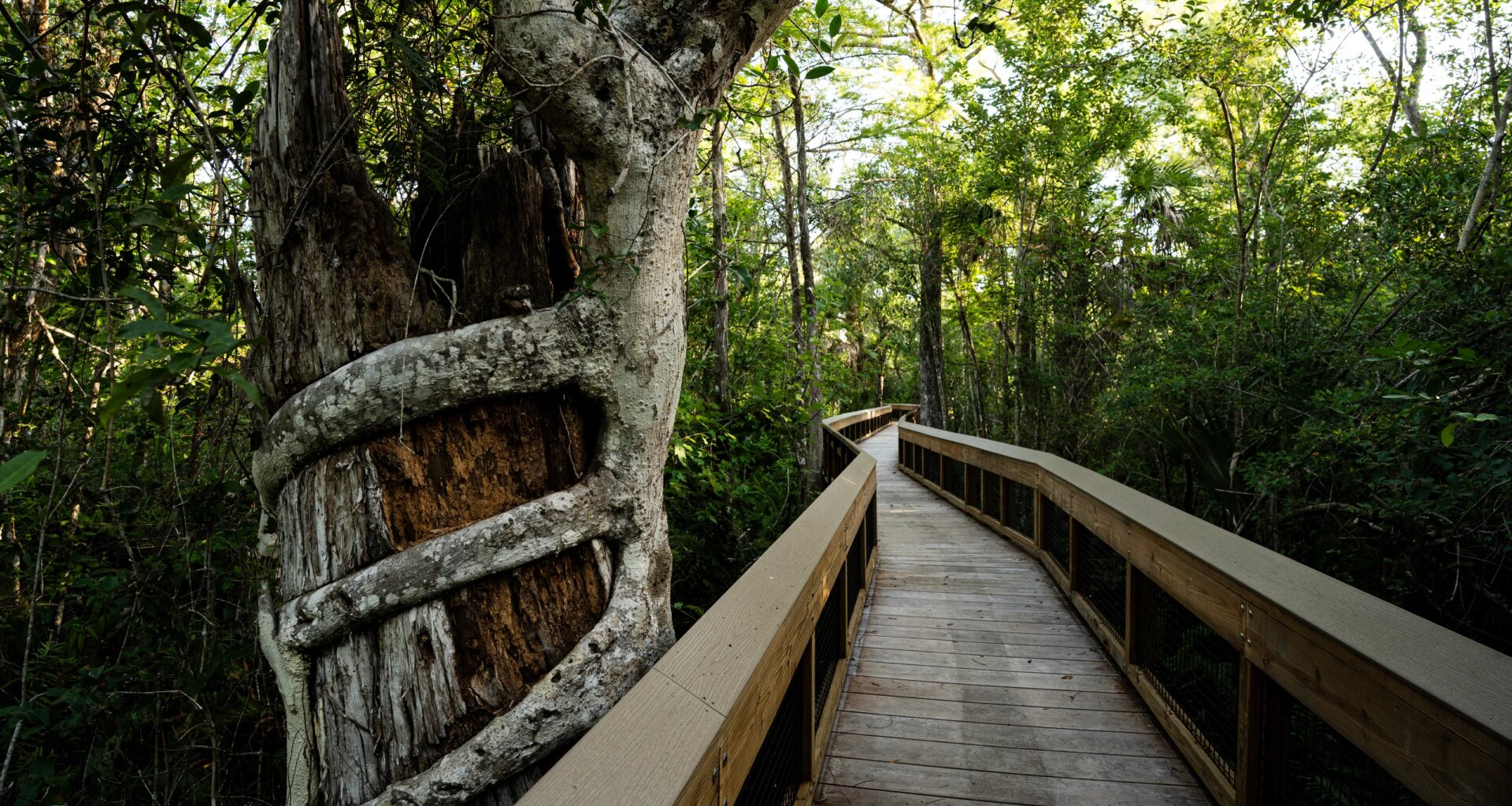 3 To Do: Big Cypress event; Farmer Mike’s Fest; Cape Coral Bike Night