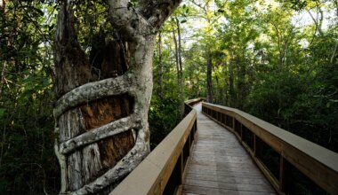 3 To Do: Big Cypress event; Farmer Mike’s Fest; Cape Coral Bike Night