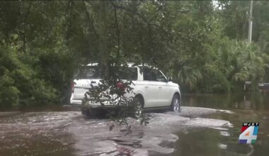 ‘You couldn’t see any one inch of land’: Palm Valley resident says development worsened flooding after heavy rains