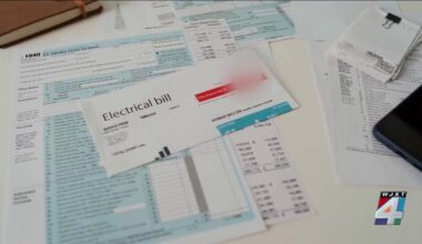 Jacksonville families struggle with unusually high JEA bills as council members explore relief options