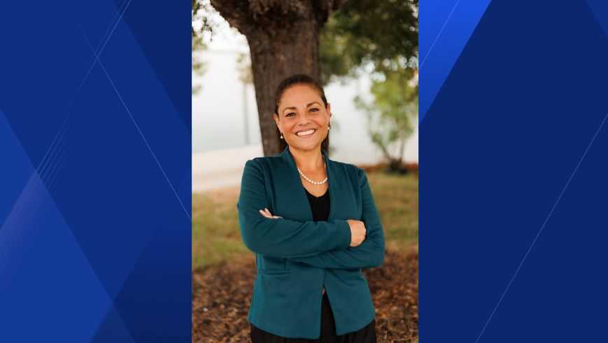 Cape Coral mayoral candidate Lisa Cohen-Adkinson files lawsuit against city over North 3 UEP project