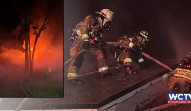 Fire sparked after tree fell onto Tallahassee home during Hurricane Isaias, TFD says