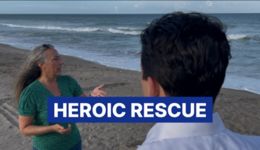 Martin County employee, avid surfer rescues 3 girls from rip current at Bob Graham Beach