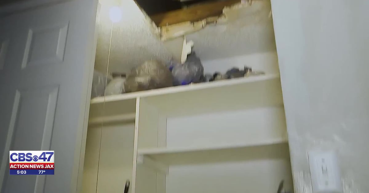 ‘My Dining Room Is a Mini Pool’: Jacksonville Tenant Battles Flooding, Ceiling Damage