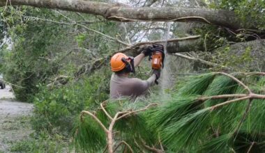 Some in Florida and Alabama without power as Isaias moves north to Appalachians and Mid-Atlantic