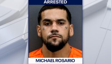 Driver faces fentanyl trafficking charge after Hillsborough County traffic stop, deputies say