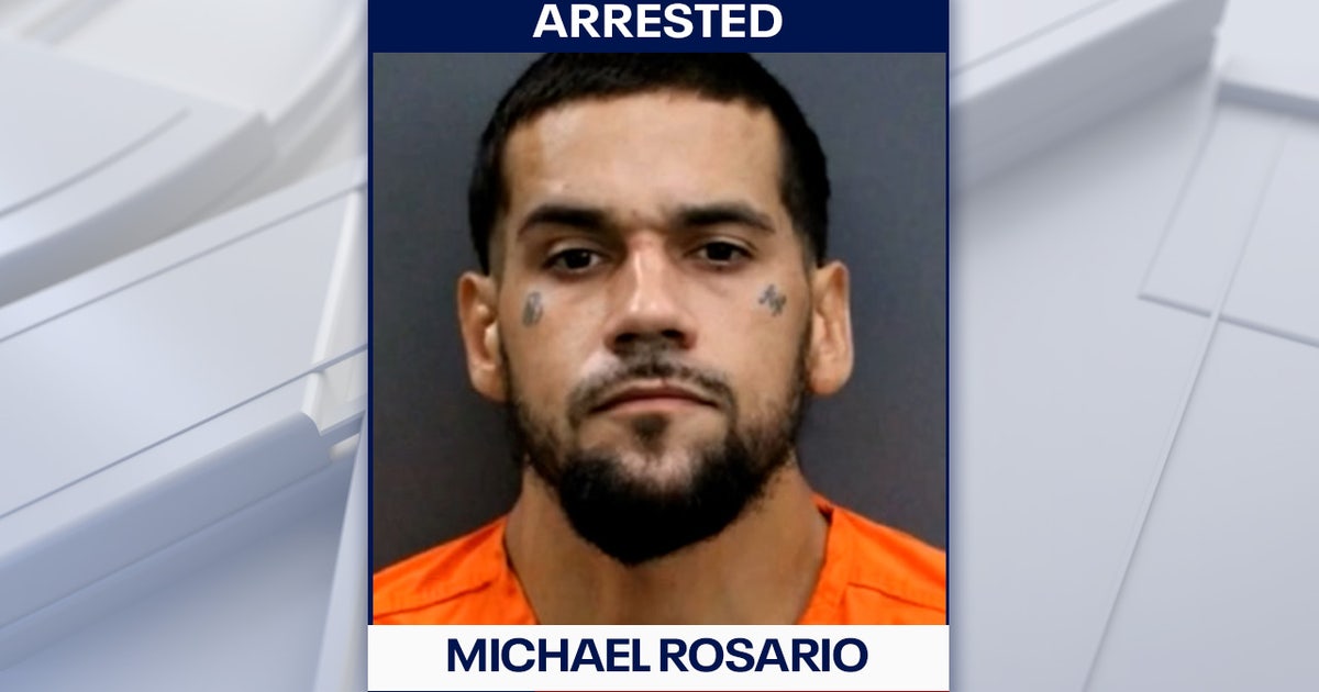 Driver faces fentanyl trafficking charge after Hillsborough County traffic stop, deputies say