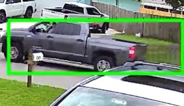 Port St. Lucie family demands answers after dog killed in hit-and-run