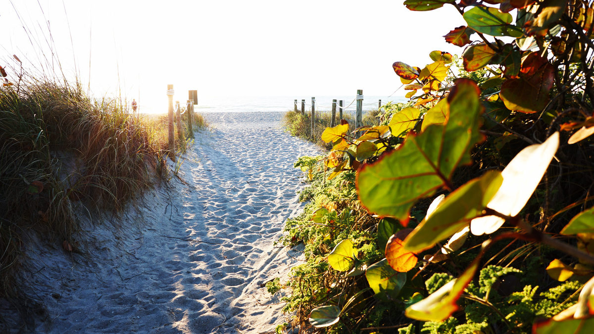 Lee County VCB annual meeting: ‘Framing the Future' of tourism