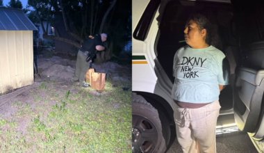 Martin County sheriff says two cats survived, two others found dead