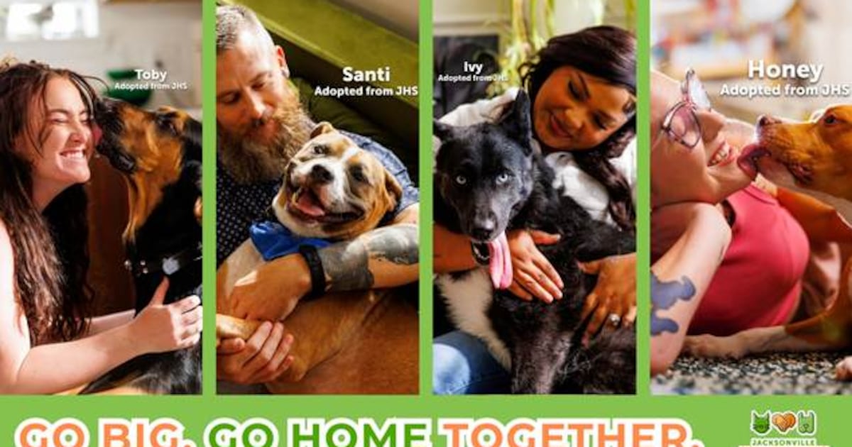 JHS seeks to boost adoptions for its largest shelter dogs