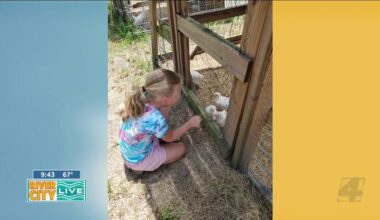Tour de Farm: Discover Duval County’s Local Farms